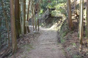 松尾山の登山道
